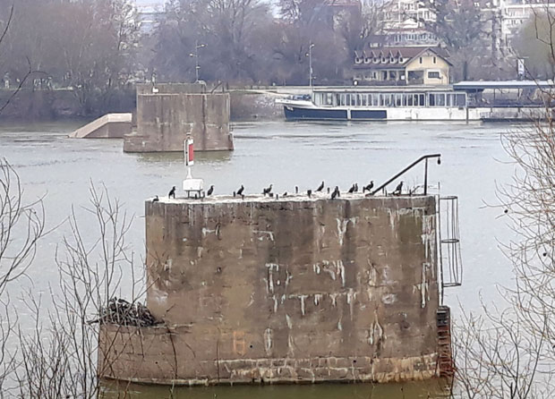 У плану још три дунавска моста